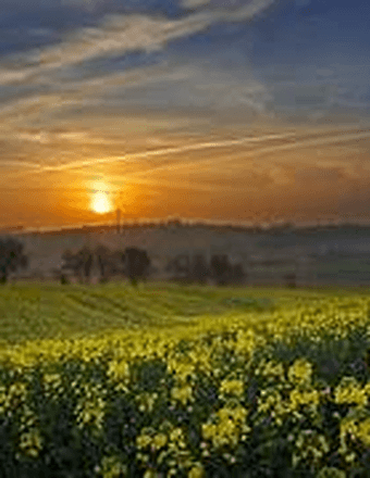 Robert Webb Obituary