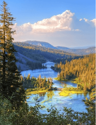 Louis Clint Woods Obituary