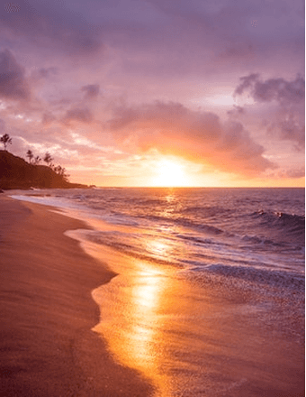 Roy Ogle Obituary